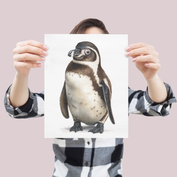 Watercolor Humboldt Penguin Wall Art Print, Unframed - Charming Coastal Elegance - Picture 4 of 7